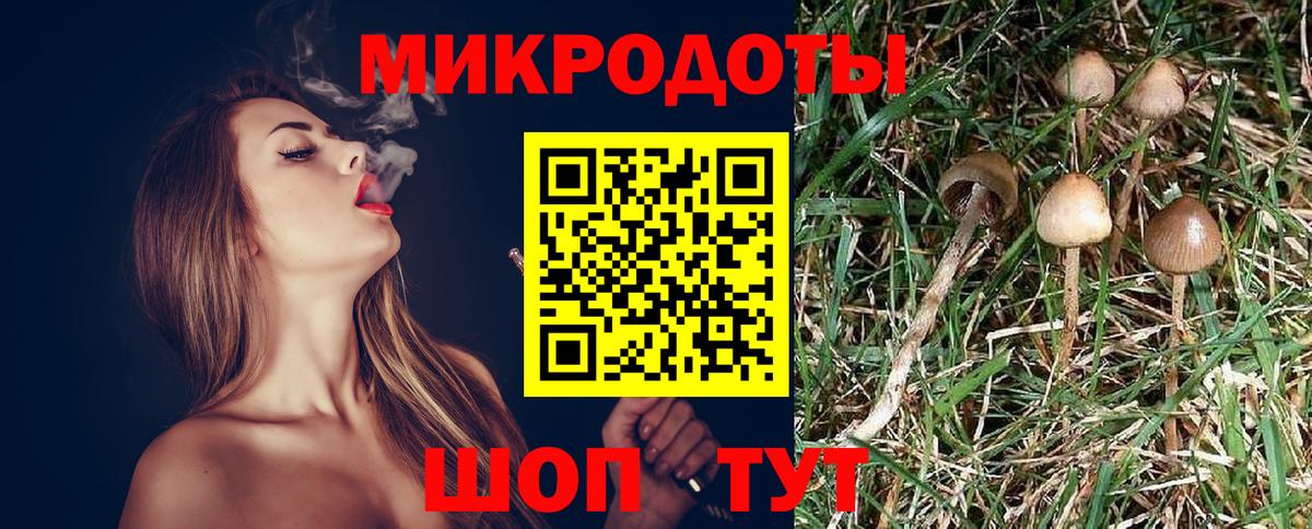 Псилоцибиновые грибы Кунгур