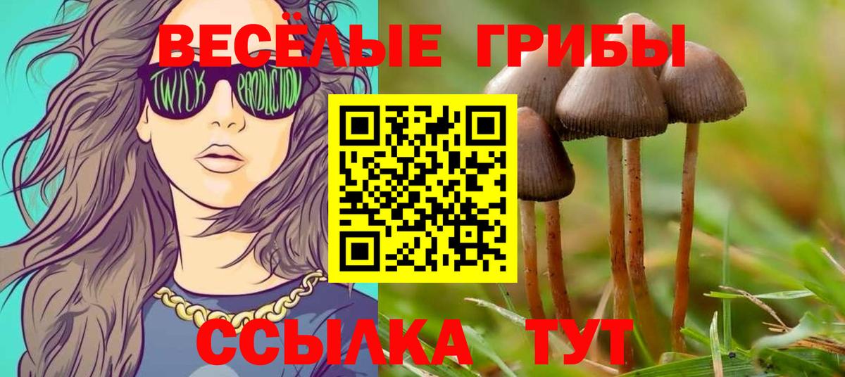 Псилоцибиновые грибы MAGIC MUSHROOMS  Вход с VPN  дарнет шоп  Галлюциногенные грибы мухоморы  Кунгур 